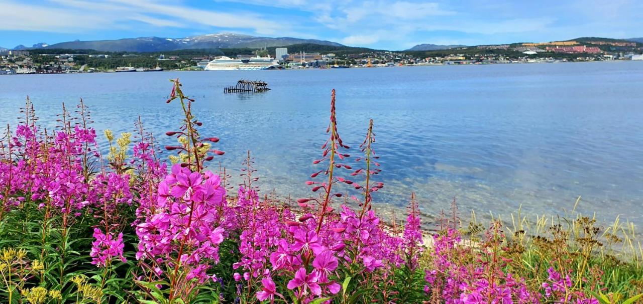 Northern Dreams Apartment With Free Parking Tromso Luaran gambar