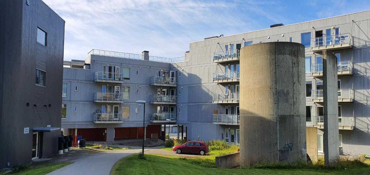 Northern Dreams Apartment With Free Parking Tromso Luaran gambar