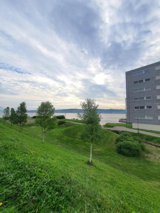 Northern Dreams Apartment With Free Parking Tromso Luaran gambar